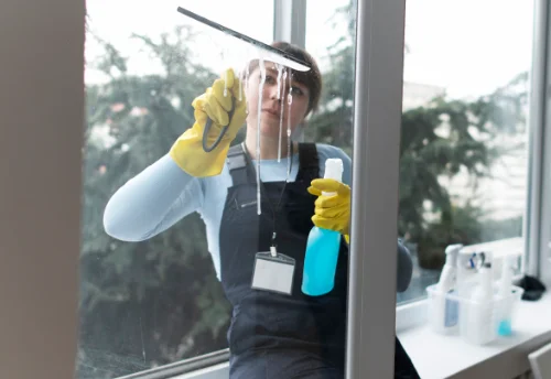 Nettoyage de vitres intérieures et extérieures à Mont-Cauvaire